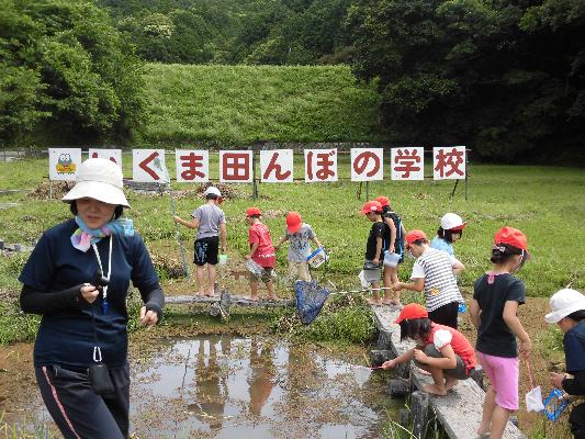 生馬小学校の、いくま田んぼの学校の様子で、田んぼの周りに生徒が網をもって立っている写真。