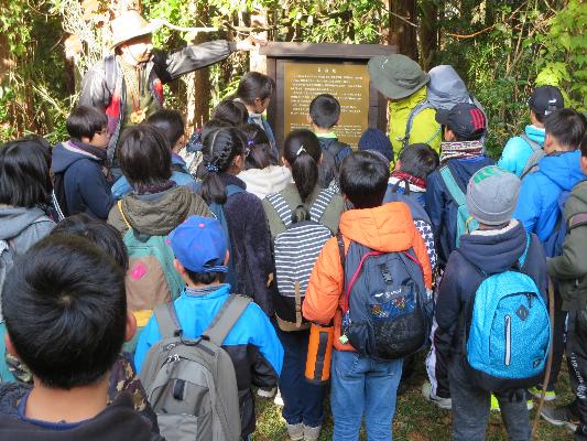 生馬小学校の「緑の少年団」の様子。