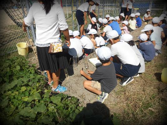 岡小学校の生徒が畑仕事体験をしている写真