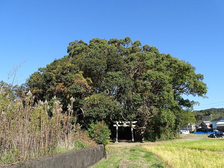 田中神社