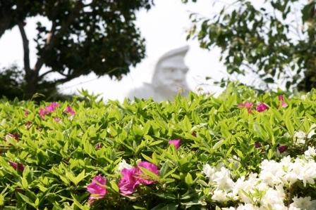 だるま寺