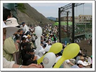 プロ野球ウエスタンリーグ公式戦