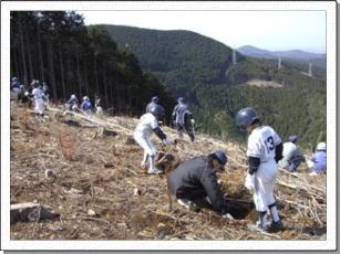 富田川流域生馬地区での植樹活動